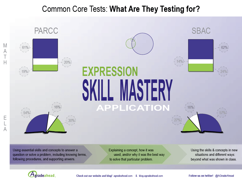 Preparing for Tests Common Core Test Infographic