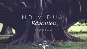 what is an iep individualized education program is an iep good is an iep bad