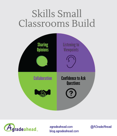 Skills Private Tutoring Doesn't Teach Small Classroom Skills Infographic