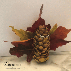 leaf turkey fall craft ideas