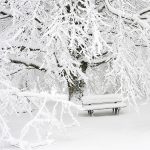 How Does Winter Affect My Child's Health & What Can I Do About It? bus stop